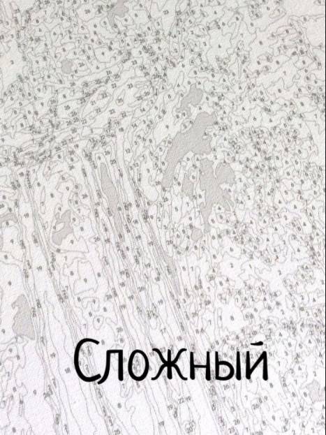 Что такое картины по номерам?