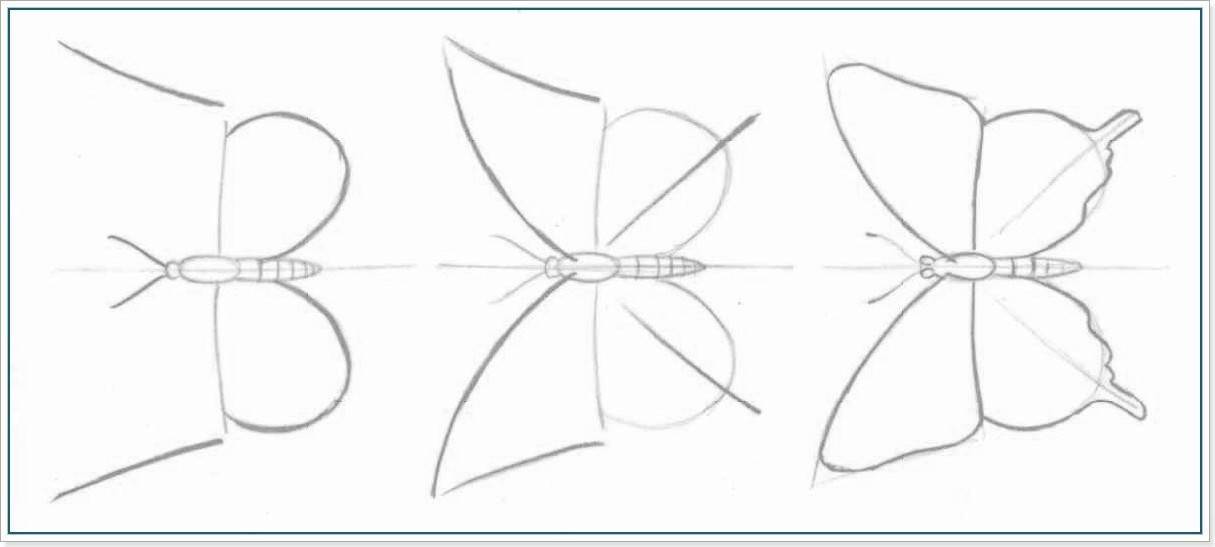 Как рисовать бабочку картинки