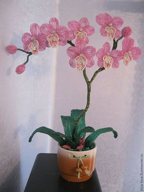 Орхидея из бисера: пошаговый мастер-класс с фото