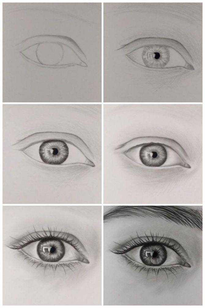 Как нарисовать глаза карандашом: поэтапный мастер-класс для начинающих