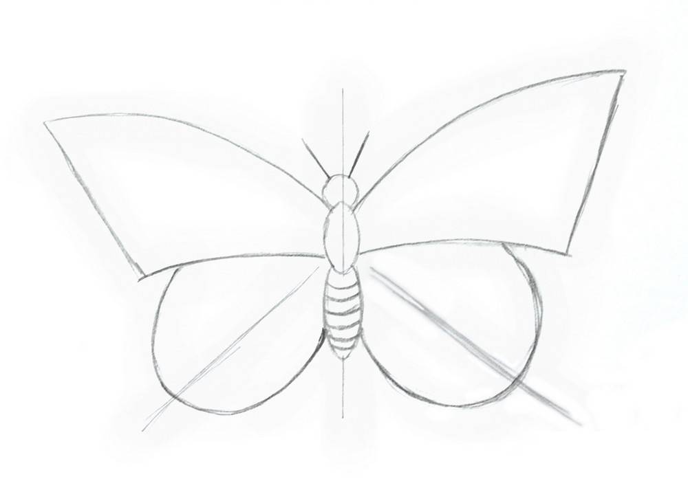 Как нарисовать бабочку карандашом поэтапно для детей