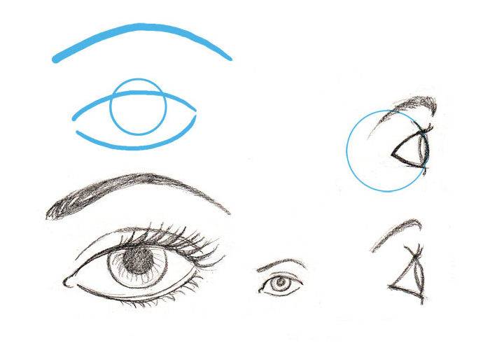 Глаз поэтапно. Схема рисования глаз. Глаза человека карандашом поэтапно. Уроки рисования для начинающих глаза. Рисование глаза поэтапно для начинающих.