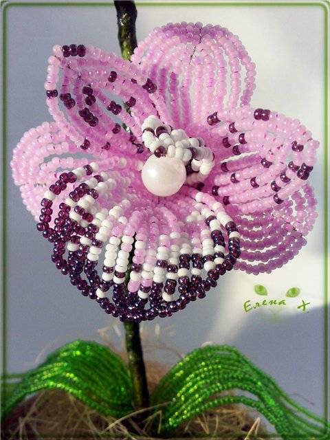 Орхидея из бисера: мастер-класс, как сделать цветок, схемы плетения пошагово